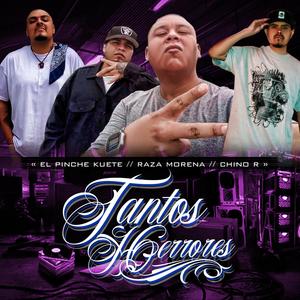 Tantos errores (feat. Mr Rangel) [Explicit]