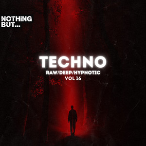 Nothing But. Techno (Raw/Deep/Hypnotic) , Vol. 16