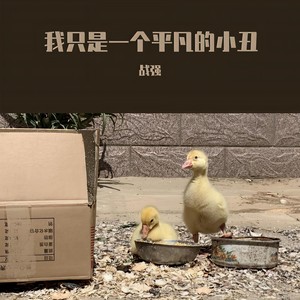 我只是一个平凡的小丑