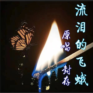 流泪的飞蛾