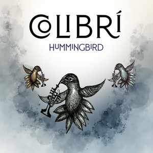 Colibrí (feat. Aníbal Seminario, Irving Flores, Brad Steinwehe & David Castañeda)