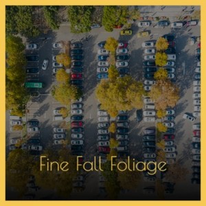 Fine Fall Foliage