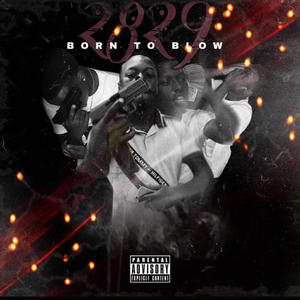 Amazon boxes (Explicit)