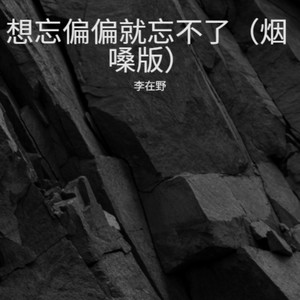 想忘偏偏就忘不了 (烟嗓版)