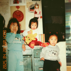 사슴벌레 (stag beetle)