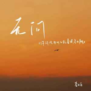 无问（你问风为什么托着候鸟飞翔）封面