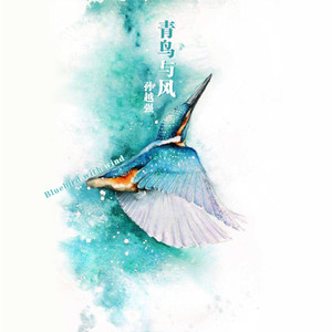 青鸟与风