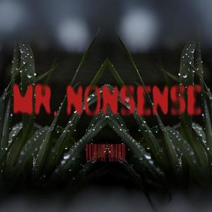 Mr. Nonsense