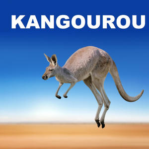 Kangourou