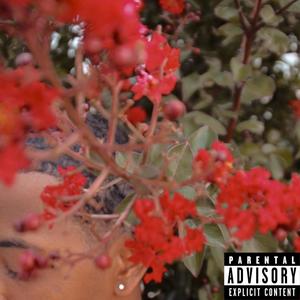 Watering Dead Flowers (Explicit)