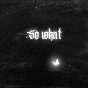 So What (feat. Late Nightzzz)