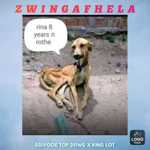 Zwingafhela (feat. King Lot) (Explicit)