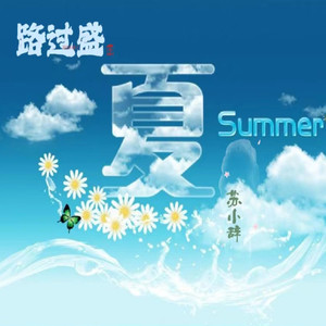 路过盛夏 - 苏小辞封面