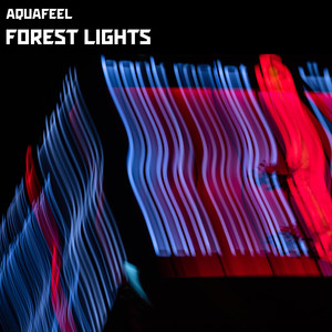 Forest Lights