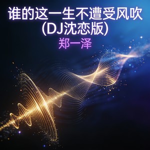 谁的这一生不 遭受风吹 (DJ沈恋版)