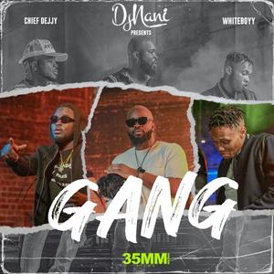 Djnani Gang(feat. Whiteboyy & Chief Dejjy)