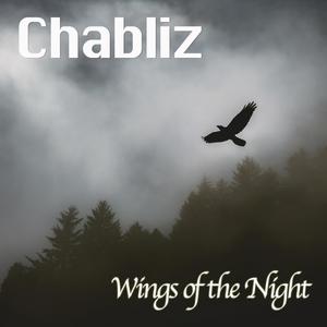 Wings of the Night (Radio Edit)