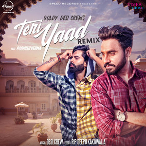 Teri Yaad (Remix) - Single