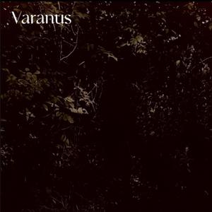 Lament (Son's Last Will)