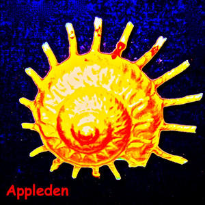 Appleden