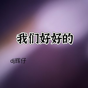 我们好好的 (伴奏) - DJ辉仔封面
