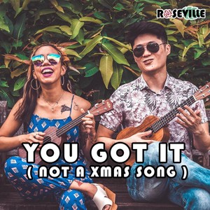 You Got It (Not a Xmas Song)