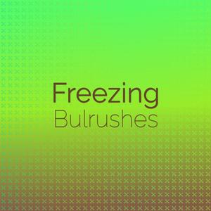Freezing Bulrushes