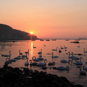 妈妈的海草房伴奏 (伴奏)