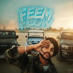 Feem Flow (Explicit)