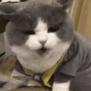 彻悟