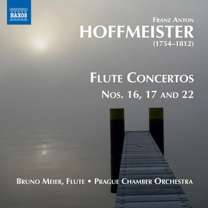 Flute Concerto No. 17 in D Major - III. Rondo: Allegretto