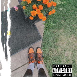 Find My Spark. (Explicit)