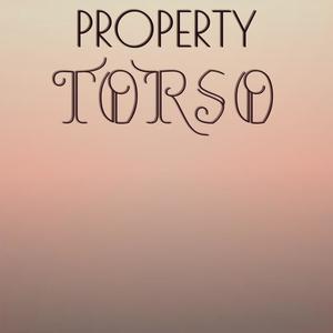 Property Torso