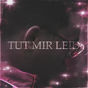 Tut Mir Leid (feat. Taikii, Gluma & Ready) [Explicit]