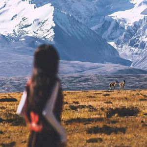 空杯欲有相逢意