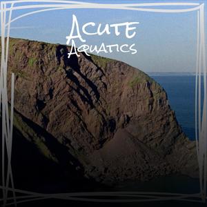 Acute Aquatics