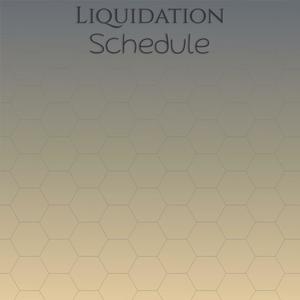 Liquidation Schedule