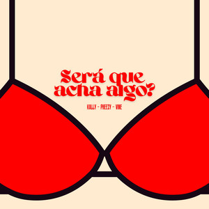Será Que Acha Algo? (Explicit)