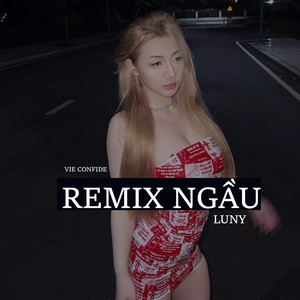 Remix Ngầu (VieConfide)