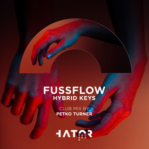 Hybrid Keys (Petko Turner Remix)