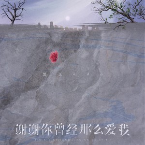 谢谢你曾经那么的爱我