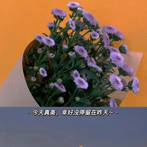 拿走了什么