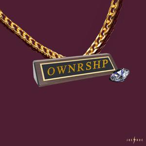 OWNRSHP (Explicit)