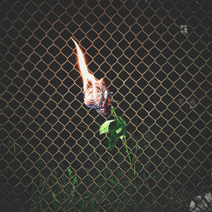 The Creature (Explicit)