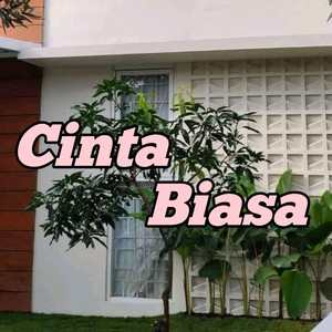 Cinta Biasa