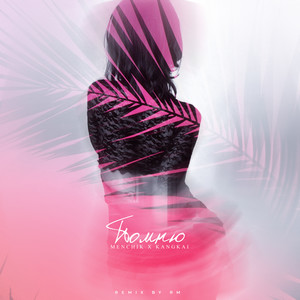 Помню (RM Remix)