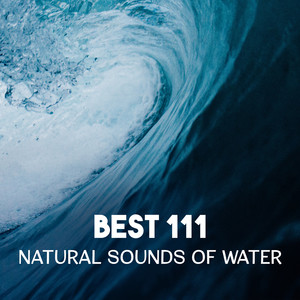 Best 111 Natural Sounds of Water – Deep Relaxation Music, Tranquil River in Zen Garden, Healing Rain Sounds, Ocean Waves to Calm Down