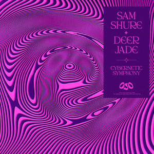 Cybernetic Symphony (Bora Uzer Remix)