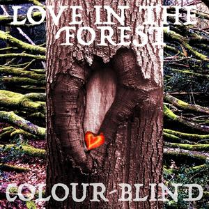 Love in the Forest (feat. J & Trephena)