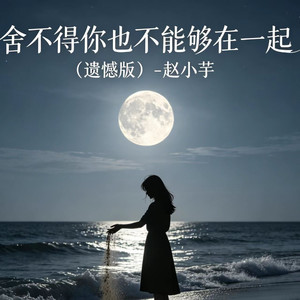 舍不得你也不能够在一起 (遗憾版)